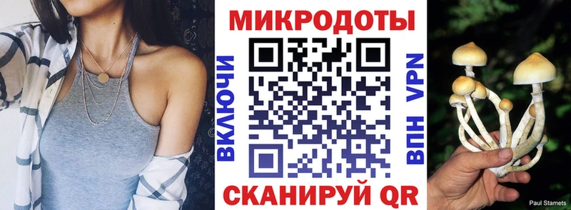 Галлюциногенные грибы Psilocybe  OMG ТОР  Тейково 